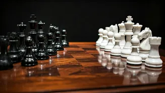 Merit and Office Politics: Navigating the Corporate World