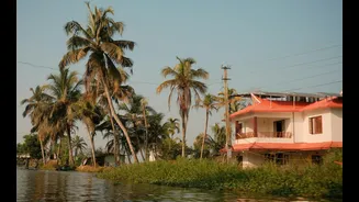 Understanding King Tides and Their Impact on Coastal India