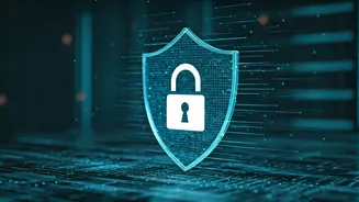 Understanding Website Security Verification: What You See and Why It Matters