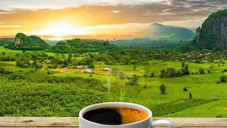 Lush Monsoon Views And Fresh Coffee Aroma Drive Off Season Travellers To Coorg Homestays