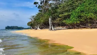 South Andaman's Rainforest Birding Trail Gives Nature Travellers a New Reason to Review Guide Quality