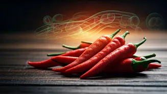 Spice Up Your Life: How Chili Peppers Might Be Your Key to a Longer, Healthier Existence