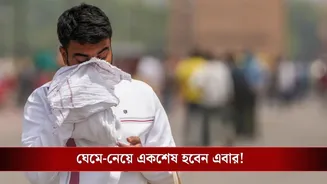 Latest Weather Update: ফেব্রুয়ারিতেই ৩১ ডিগ্রির গরম! এখন থেকেই ‘খেল’ দেখাতে শুরু করল El Nino?