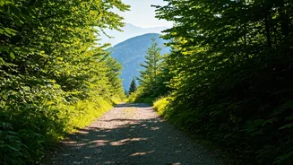 Unveiling Wellness: Solo Travel's Impact on Health in South India