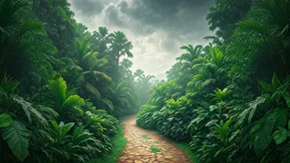 Kerala Trip Planning Has Entered Its Rainy Era