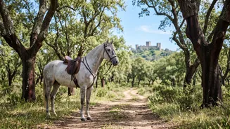 Travelling Through Portugal's Historical Landscapes On Horseback