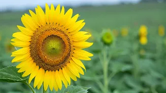 Related Stories banner