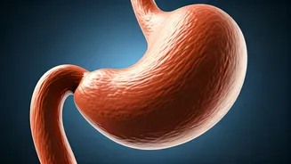 Belly Fat Not Budging? Know the Reasons.