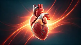 Heatwave Heart Hazards: Understanding and Preventing Cardiac Emergencies Amidst Rising Temperatures