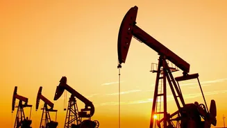 Crude Oil Prices Connect Global Markets With Everyday Costs Faced By Indian Consumers