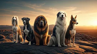 Ancient Dog Breeds: A Journey Through Time with 6 Timeless Companions