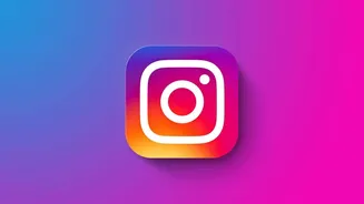 Instagram's Year-in-Review 2025 is here: What shaped India's feed?