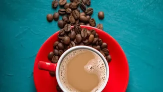 Specialty Single-Origin Coffee: South Indian Estate Roasts Become Popular Among Metro Youth