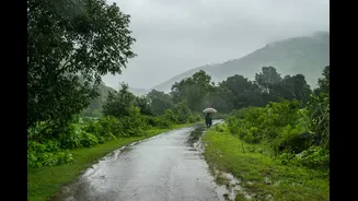 Heavy Rainfall Prompts Localised School Closures Across India