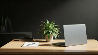 Related Stories banner