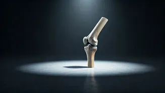 Related Stories banner