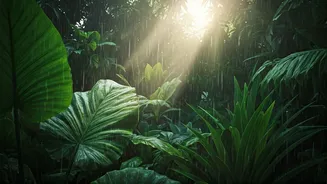 This Monsoon, Nature Beats Every City Break