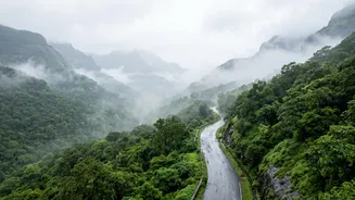 Monsoon Travel Safety: How Indians Can Check Rain, Flood and Landslide Risks