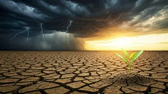 Rainfall Trends Are Becoming A Money Story Too
