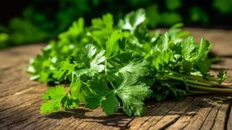 How to use coriander in cooking