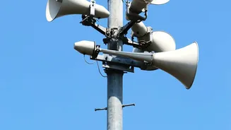 How Low Frequency Sound Waves Repel Pests On Urban Organic Farms