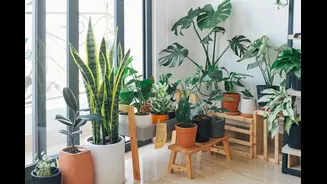 Why Your Indoor Air May Be More Dangerous Than Outdoor Smog During Winter