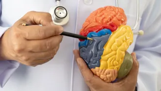 Hábito comum pode ser sinal precoce de demência, alerta estudo