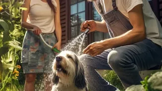 Pet Care During Humid Weather: Ways To Reduce Fungal Infections And Ticks At Home