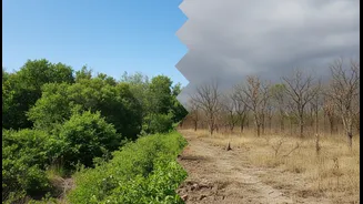 India's Future Vegetation Growth Forecasts Shows How How India Interprets Greening Under Climate Change Is Being Rewritten