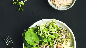 Plant-Based Protein Choices Are Expanding As Indian Consumers Explore More Than One Familiar Ingredient