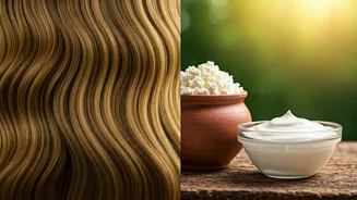Summer Hair Savior: Curd vs. Yogurt for Scalp Health and Growth