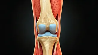 Save Your Knees Using Slow Negative Eccentric Leg Exercise Routines