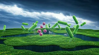 Gut-Safe Food Is The Real Monsoon Flex