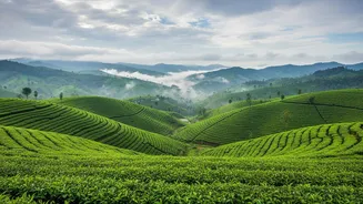 Monsoon Tourism Continues To Grow As Travellers Seek Fresh Experiences