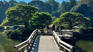 Japan's New Exit Cost Is a Useful Lesson in Full-Trip Budgeting