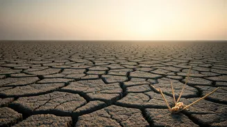 Farmers Advised To Delay Sowing Crops Till Rains Return