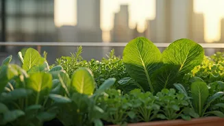 Why Terrace Gardening Is Best Sustainable Habit For Indian Gen