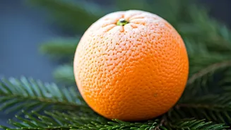 Winter Skin SOS: Expert Tips for Radiant Skin