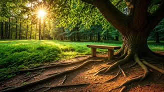 Neem Karoli Baba's 9 Teachings for You