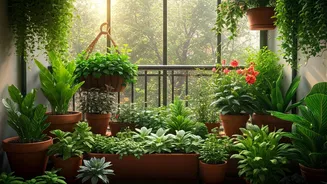 Small Spaces, Stunning Garden Dreams