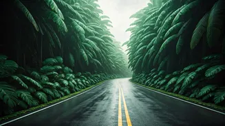 Rainy Konkan Roads Are Pure Travel Reel Material