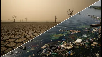 From Air to Water, State of India's Environment 2026 Needs a Clear Decode