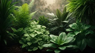 Balcony Plants That Stay Happy Through Humid Weather