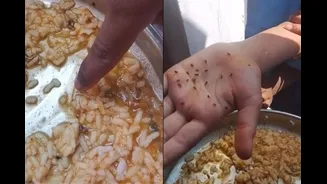 Worms Found In Midday Meal At Karnataka Govt School, Parents Demand Action