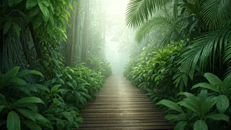 Rain Turns Canopy Walks Into Dream Adventures