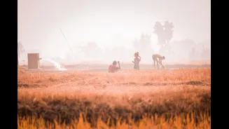 Climate-Resilient Crops: Boosting Bihar's Agriculture