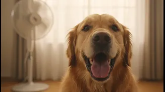 Indoor Pet Overheating in Humid Homes: How to Separate Useful Context from Hype