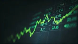 Stocks Surge: Business Sees Big Gains Today