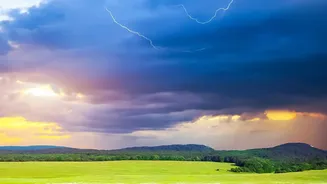 A Pyrocumulonimbus Can Add Lightning and Violent Winds to a Wildfire