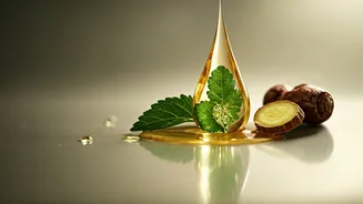Korean Beauty Ingredients Blend Innovation With Gentle Care